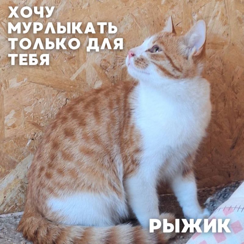    #_     ,              