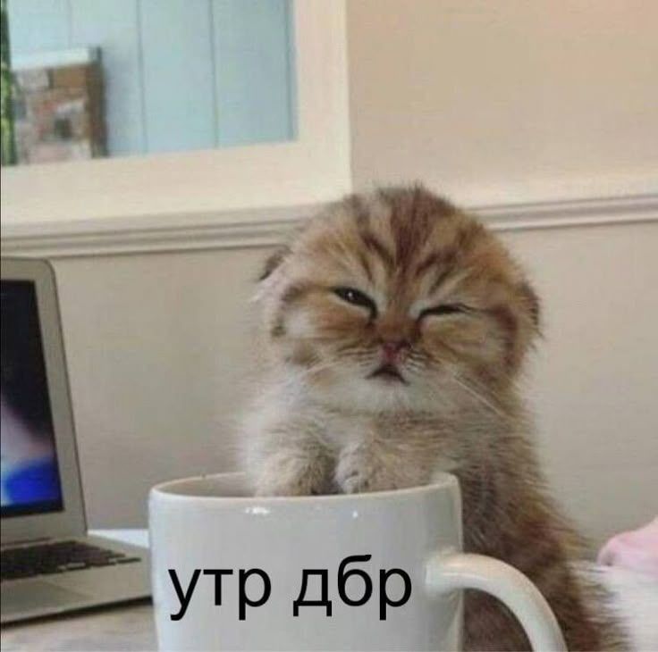  , !.      ,        