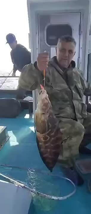 Владивостокские рыбаки во время ловли в заливе Петра Великого вытащили из моря улов-сюрприз