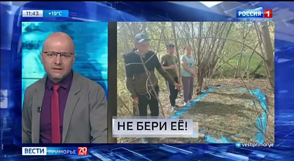 Новости Приморья коротко. Вести Приморье в МАХ