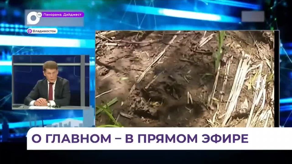 Мосты, защита от наводнений и жилищное строительство: Олег Кожемяко ответил на вопросы приморцев