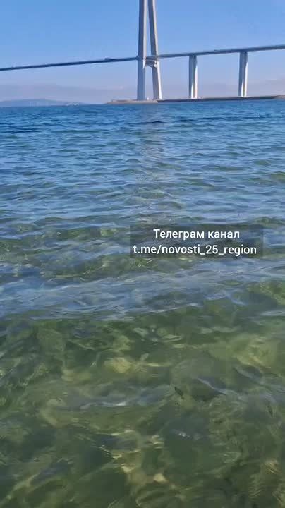 3 октября или 64 августа? Погодка шепчет, а море всё ещё зовёт