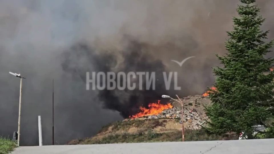 В «Приморском экологическом операторе» сообщили, что возгорание зарегистрировано в шесть часов утра