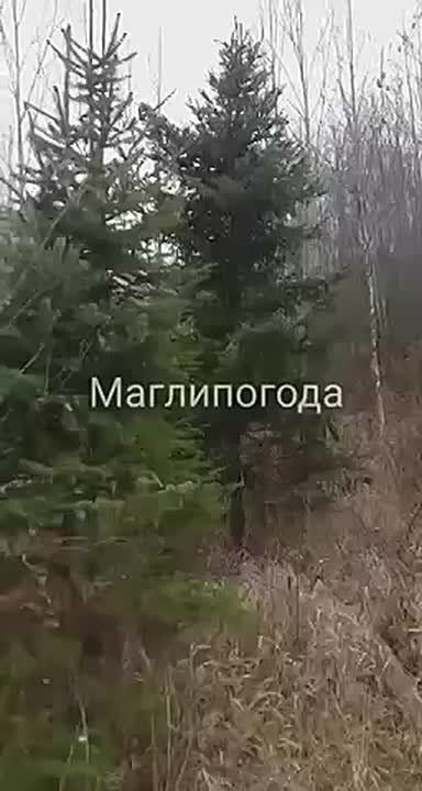 Зима стучится в северные районы Приморья, опережая календарь