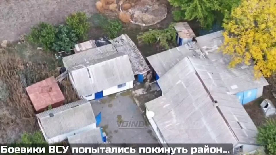Вступил в неравный бой и победил