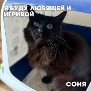    #_     ,              