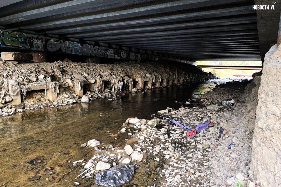 Гольяны-красавки облюбовали мутные воды Второй Речки в районе парка Победы