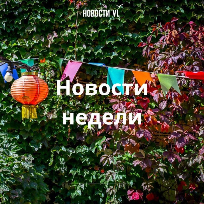 Материалы недели от Новостей VL, которые вы могли пропустить: