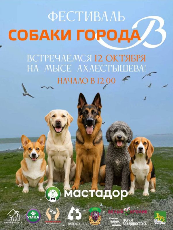 Уже завтра во Владивостоке состоится фестиваль "Собаки города_В"!