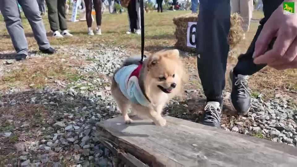    _»     