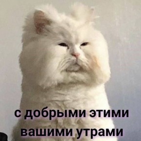  , !.      ,      