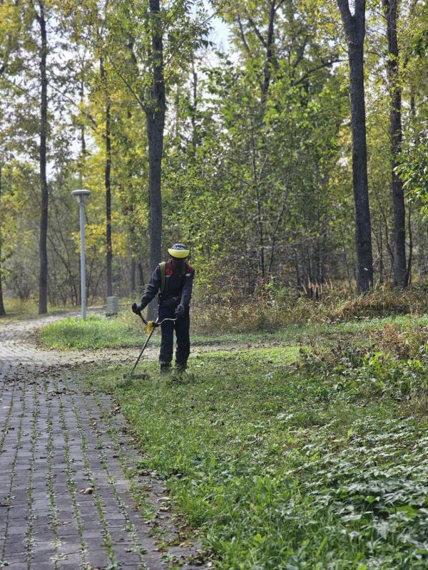 Делимся результатом нашей работы за прошедшую неделю