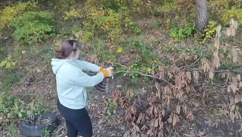 Специалисты центра реабилитации диких животных «Тигр» в Приморье выпустили на волю ястреба-тетеревятника, который недавно попал к ним с травмой