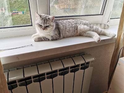 Отопительный сезон во Владивостоке стартует 17 октября
