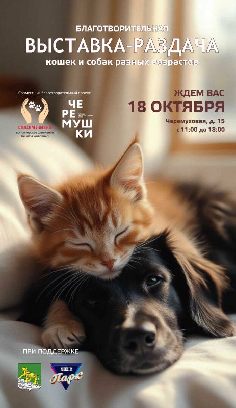 Уже в эту субботу — продолжаем добрые события октября!