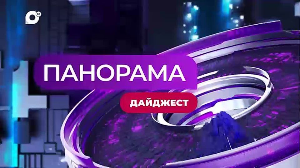 Малыши дальневосточного лесного кота обживаются в реабилитационном центре «Тигр»
