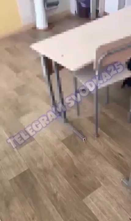 В поселке Пластун следователи СКР Приморья устанавливают обстоятельства противоправного поведения школьницы