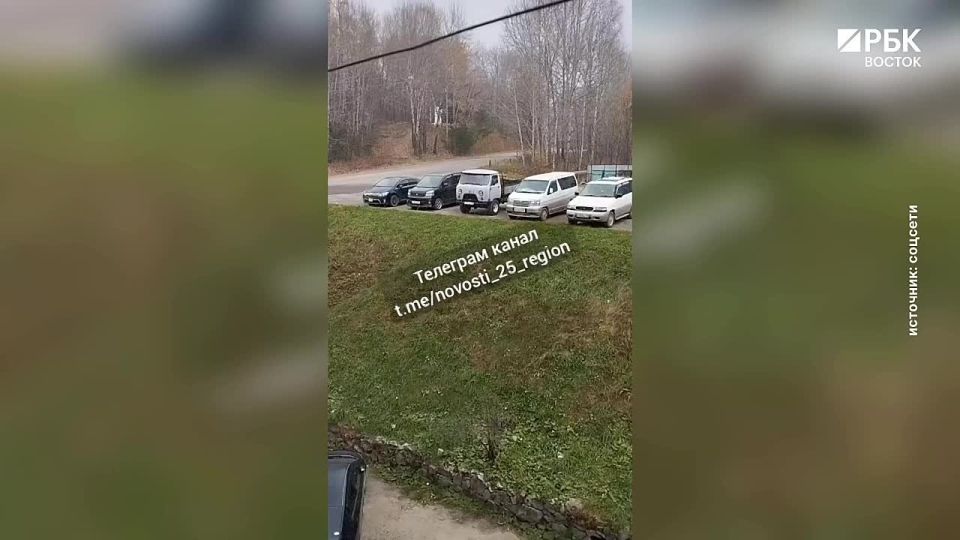 В Приморье пошел первый снег