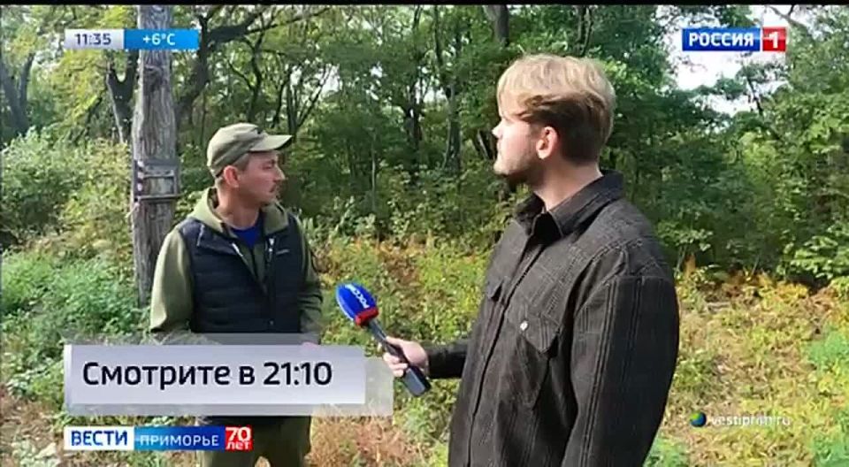 «Потеряшка» - термин, который часто можно услышать в Приморье