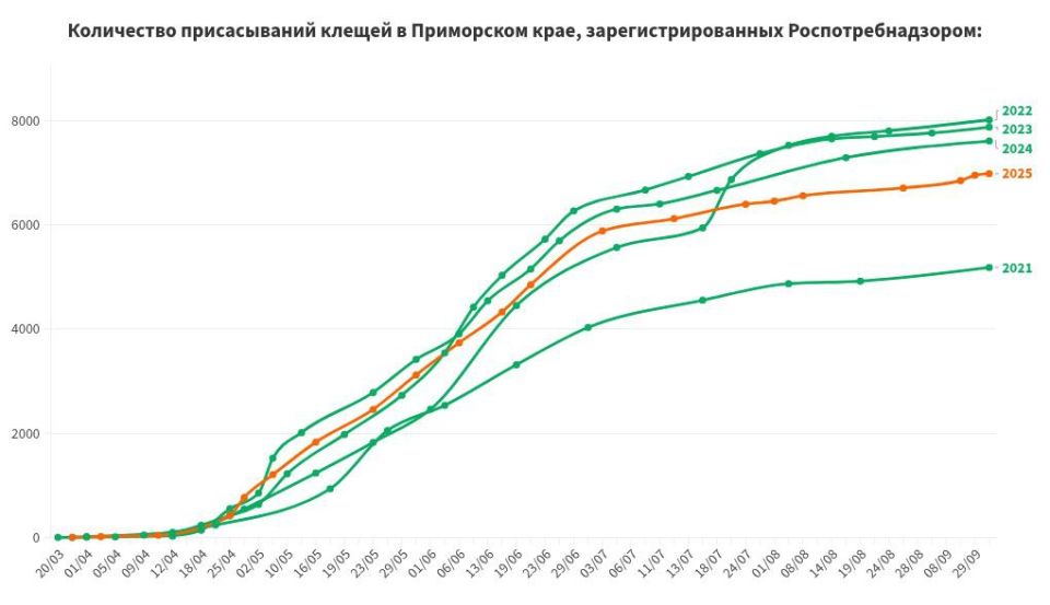 Почти 7 тысяч человек обратились в больницы Приморья, найдя на себе клеща, энцефалитом заболели восемь из них
