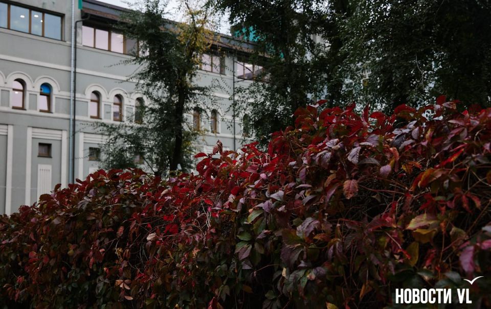Доброе утро, Владивосток. Днём облачно