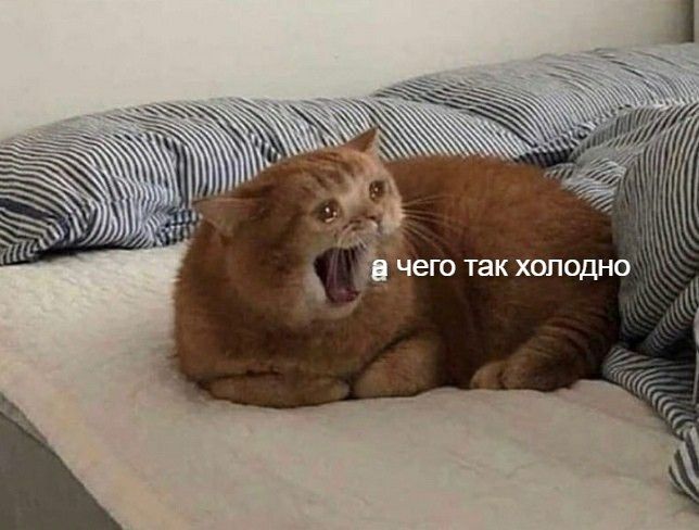 Завтрашний день в Приморье будет ветреным и прохладным