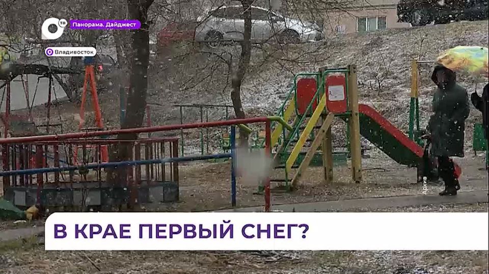 Жители посёлка Красноармейского округа встретили первый снегопад