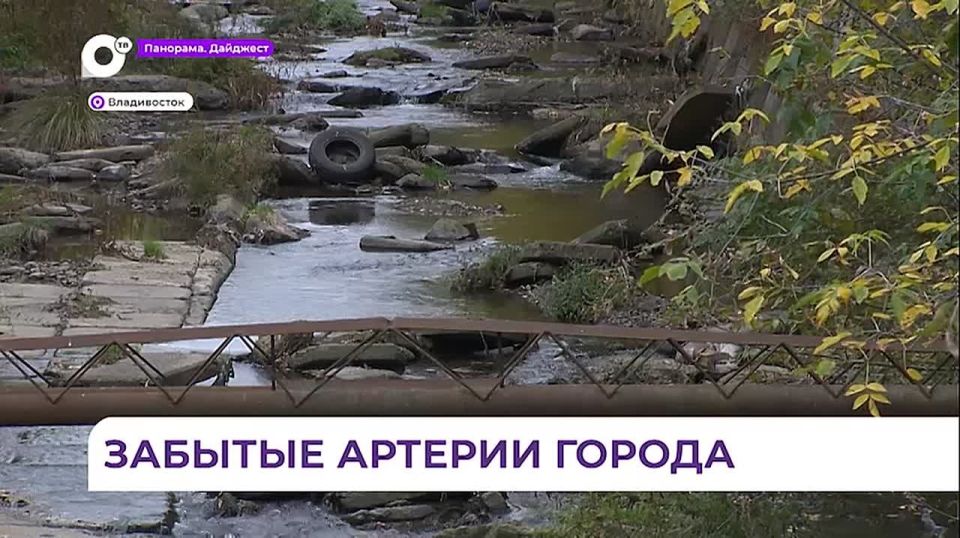Во Владивостоке городским речкам дают новую жизнь