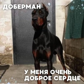    #_     ,              