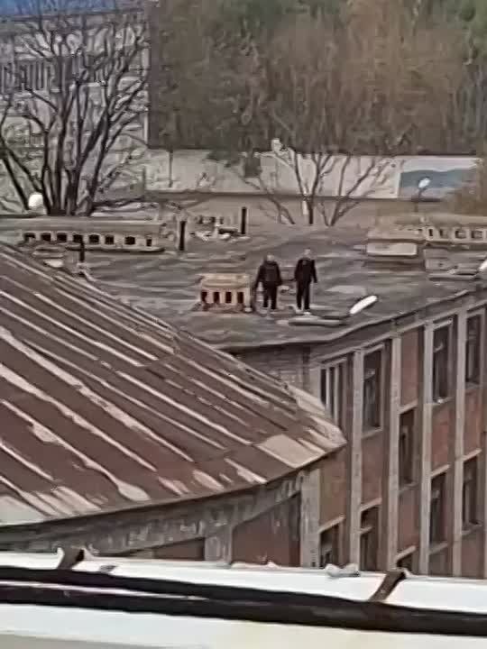В Уссурийске подростки с крыши цирка кидают камни в прохожих