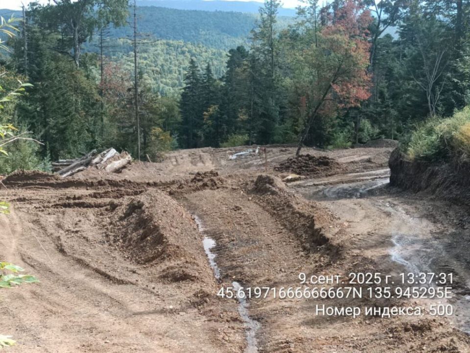 Экспертный совет по заповедному делу просит природоохранную прокуратуру остановить добычу золота в охранной зоне Сихотэ-Алинского заповедника