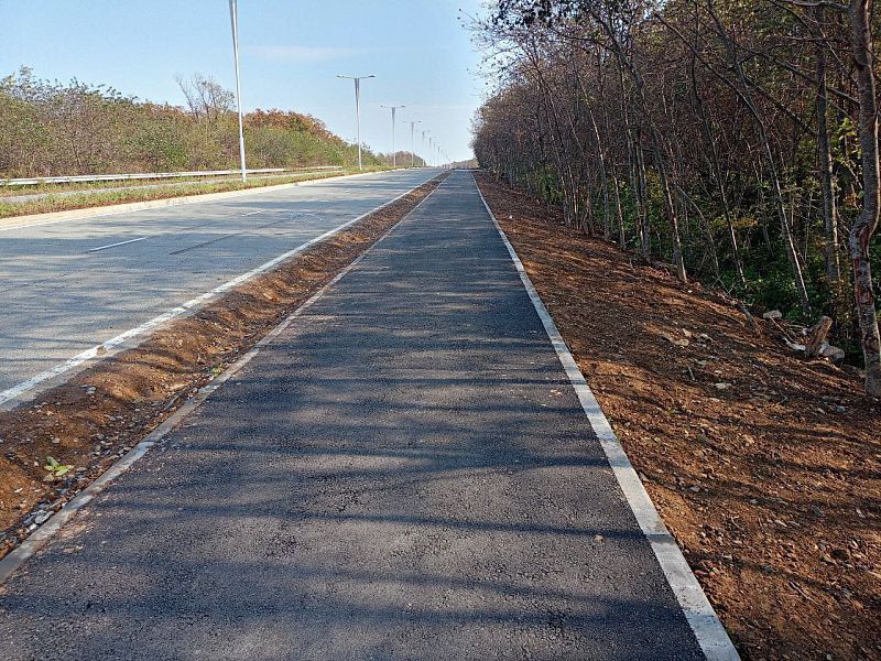 Уже в этом году завершится создание дорожного полотна новой велотропы вдоль Университетского проспекта