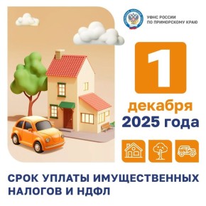    :   2024     1 