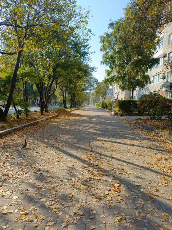 Доброе утро, Уссурийск!. Сегодня пятница, 17 октября — впереди выходные, но ещё столько возможностей сделать день продуктивным и приятным