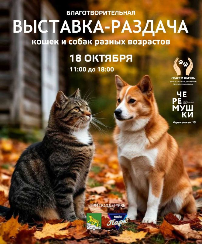 ГОРОДСКАЯ ВЫСТАВКА-РАЗДАЧА ЖИВОТНЫХ ПРОЙДЕТ В ЭТУ СУББОТУ!