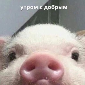  , !.    ,      