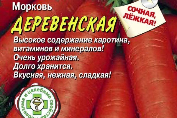 Морковь Деревенская: новый фаворит огородников