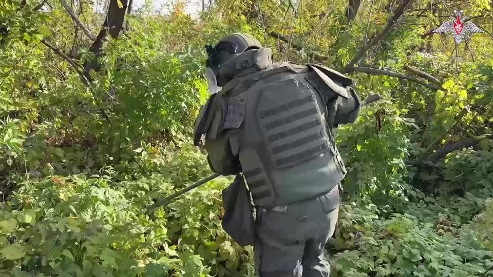 Минобороны России: Сапёры группировки «Север» продолжают разминировать территории населенных пунктов в Курской области