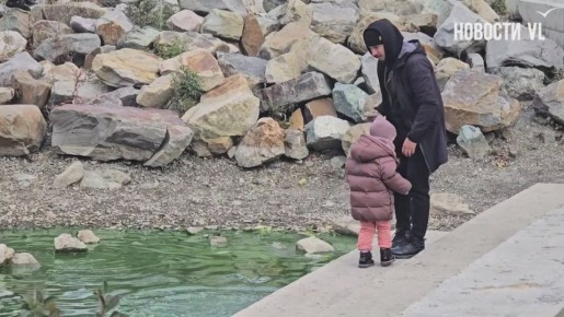 «Колобки» для озера: жители Сафонова запустили в водоём бактерии для его очистки