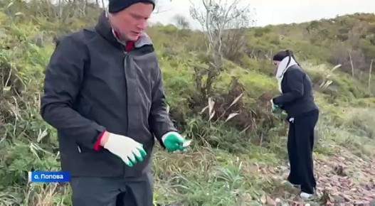 В Дальневосточном морском заповеднике провели очистку побережья острова Попова при помощи искусственного интеллекта