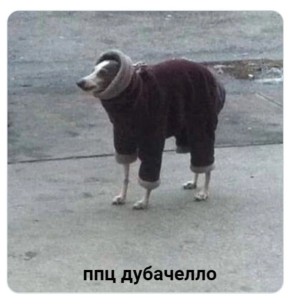    ?