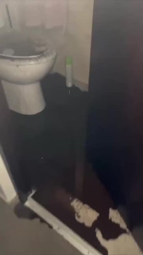       ,    &quot; &quot;
