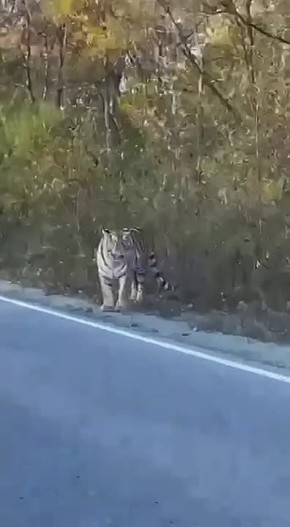  :      ,    
