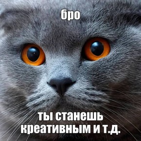   ,      ,         ?