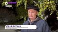 В Фокинское водохранилище выпустили мальков белого амура
