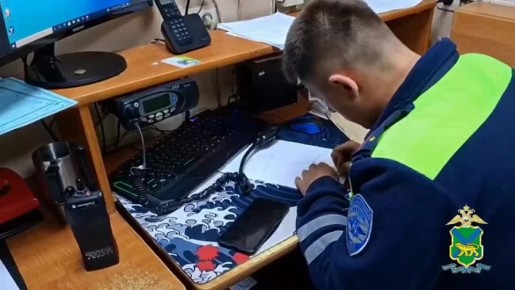 В Артеме сотрудники Госавтоинспекции привлекли к ответственности любительницу пьяной езды