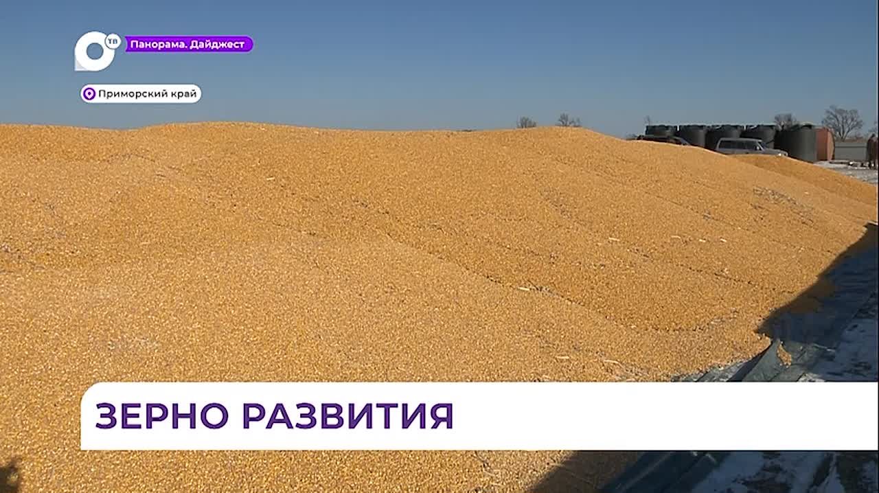 Приморские аграрии уже собрали 30 тысяч тонн риса