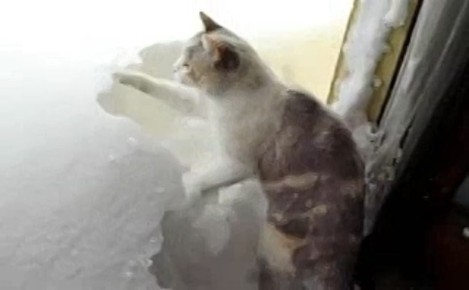              -7C