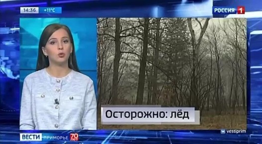 Новости Приморья коротко. Вести Приморье в МАХ