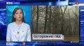 Новости Приморья коротко. Вести Приморье в МАХ